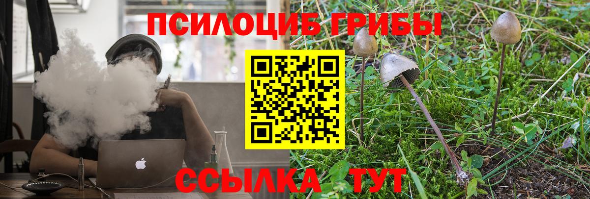Котлас  Галлюциногенные грибы мухоморы  Вход с VPN 